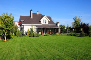 Jardinier paysagiste à Suresnes